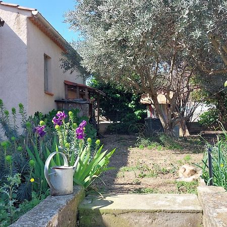 Villa 80 M2 Jardin Terrasse 3 Chambres Provence Volx Bagian luar foto